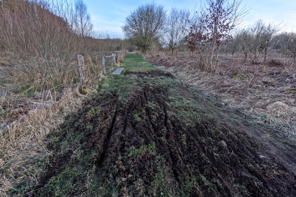 Mud, glorious mud!