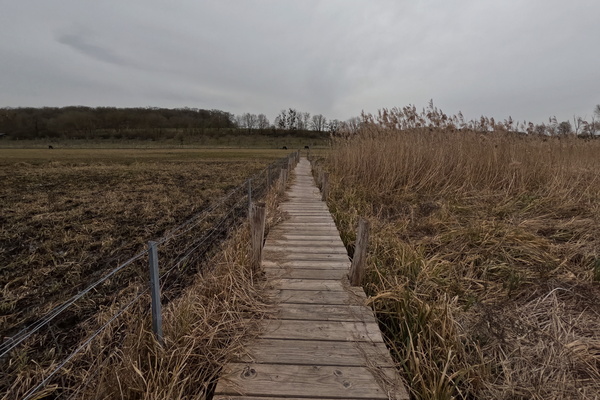 Where Does This Path Lead? A Journey into the Unknown