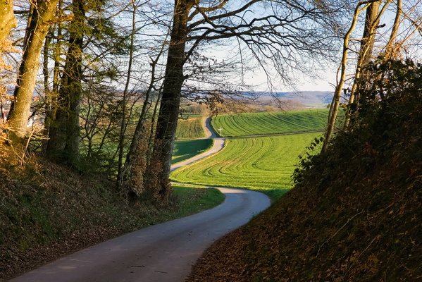 This road has commitment issues: It just can't go straight!