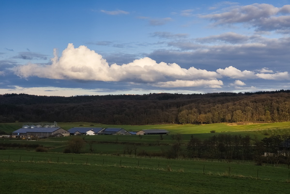 The Cowshed Riviera: Where Even the Clouds Are Dairy-ous!