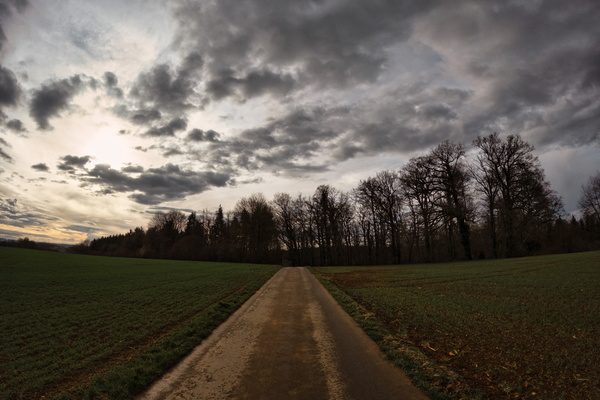 A Grey Dawn's Promise
