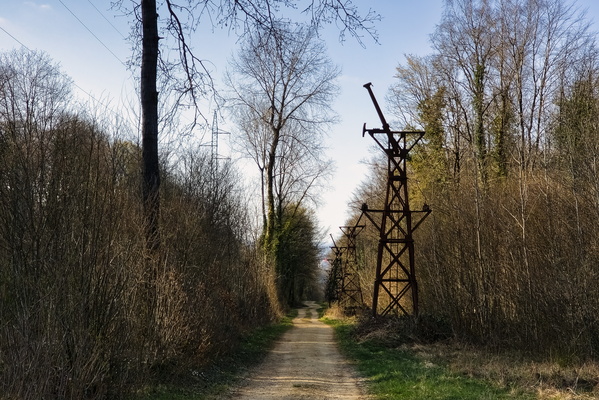 From Tower to Tower, the Path Unfolds