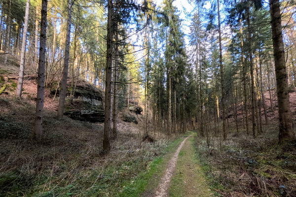 Trailblazing Through Tranquility
