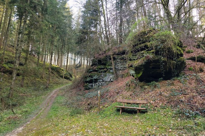 20250330_182606.jpg