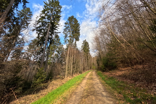 Is this the way to Amarillo...or just Bofferdange?