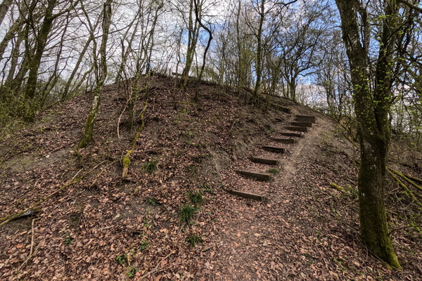 Oh joy, stairs. Just what I needed.