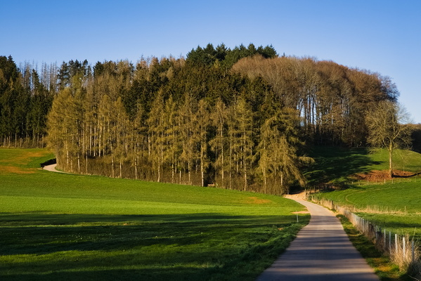 Oh, Look, Another Picturesque Road. How Original.