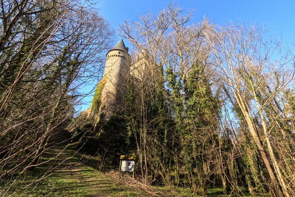 Castle! Branches! Shiny Sky! Hollenfels Now!