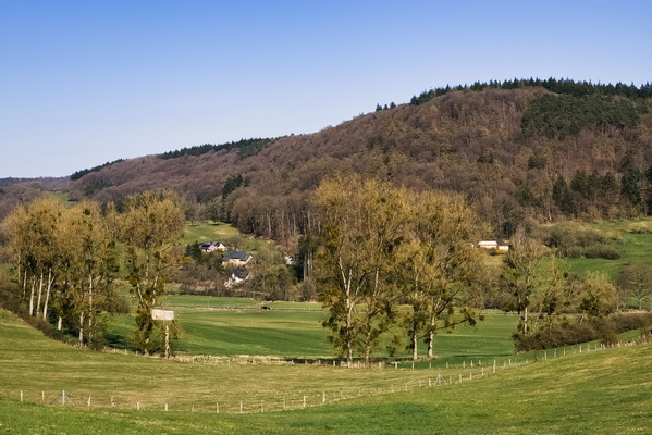 So. Much. Green. Must. Explore!