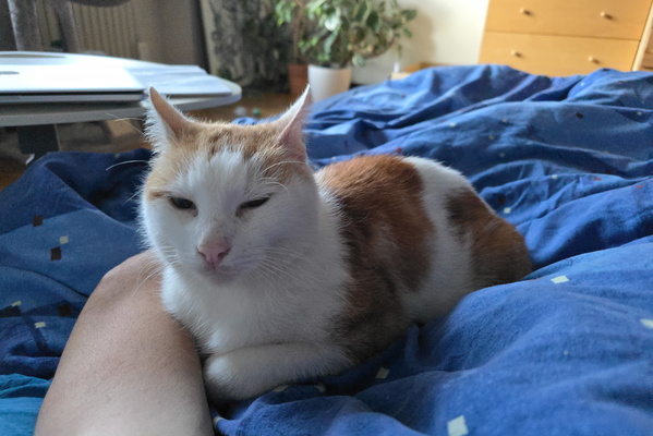 Timmy's Masterplan: World Domination (Via Cuddles)