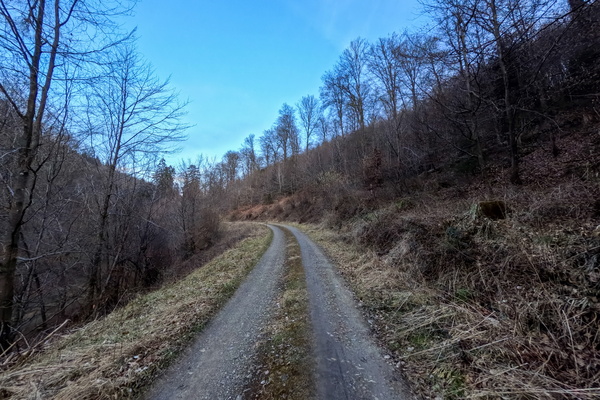 Repetitive Patterns of Gravel: A Stable and Predictable Path.