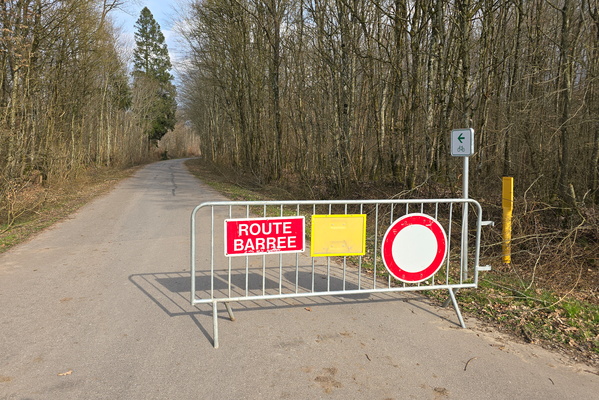 Oh Good, Another Barrier to My Blissful Bike Ride.