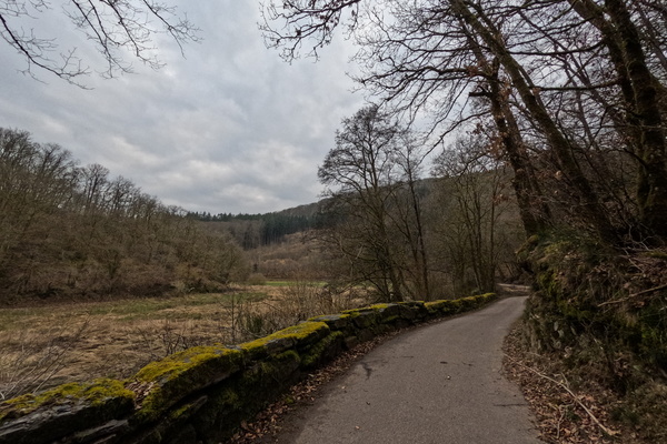 Moss Wanted: The Great Wall of Niederfeulen