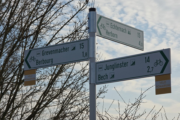 Which Way to the Pain?