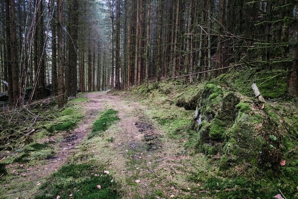 Defined Edges and Textured Greens