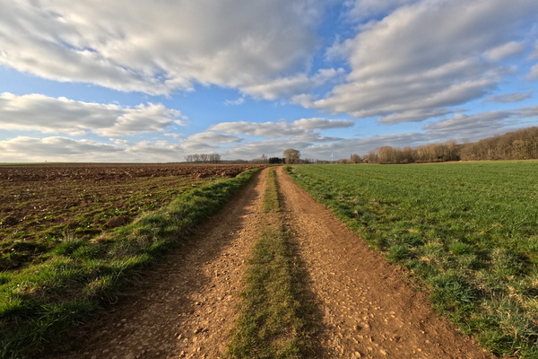 Another Track in the Fields. How Exciting!