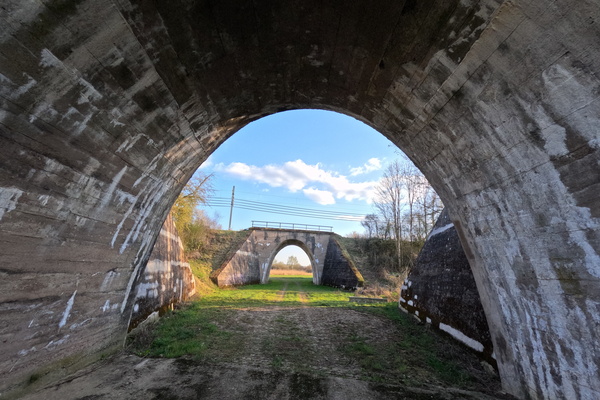 Parallel arches, clearly defined
