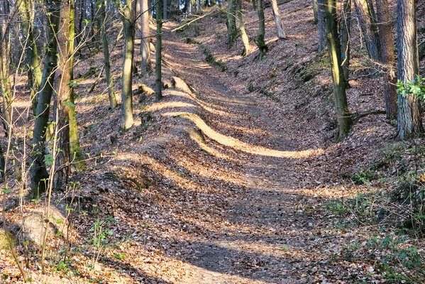 Ordered Chaos on the Path