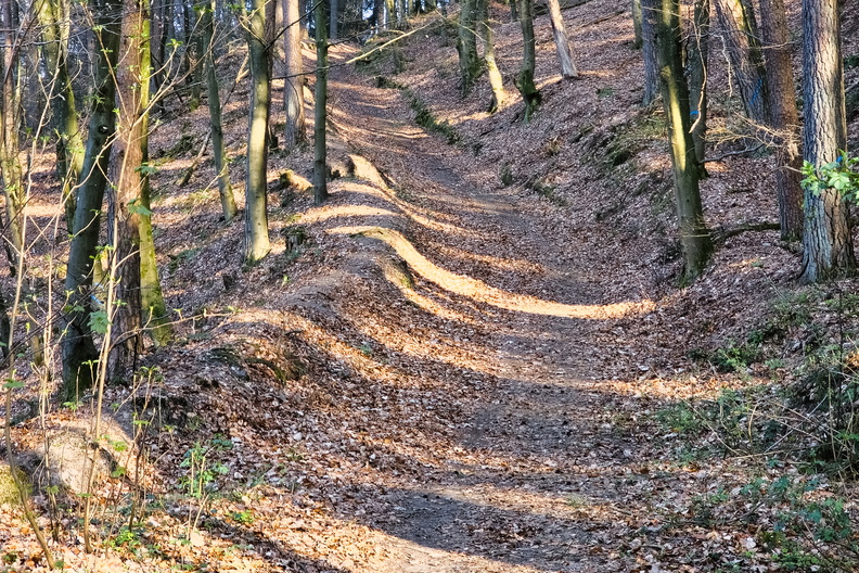 20250403_183628.jpg