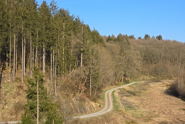 Let's Take the Long Way Home!