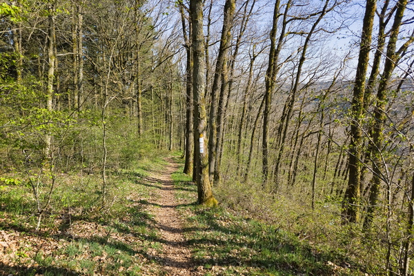 Another scenic trail. Groundbreaking.