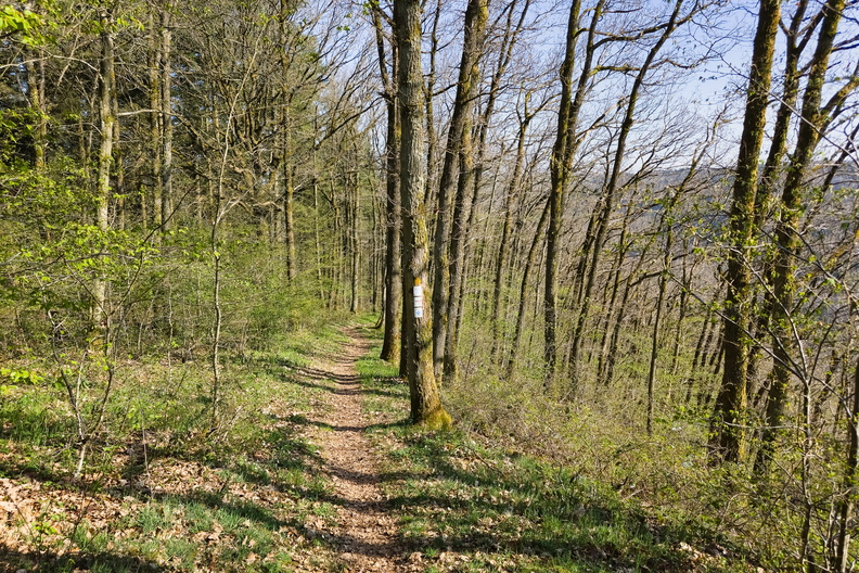 20250410_163828.jpg