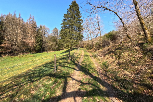 Peaceful Stroll Through a Luxembourg Landscape