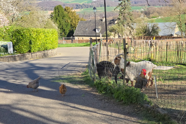 Rural Rhapsody: Life's Simple Joys
