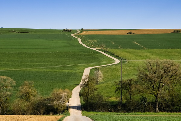 Oh Great, Another Scenic Route...