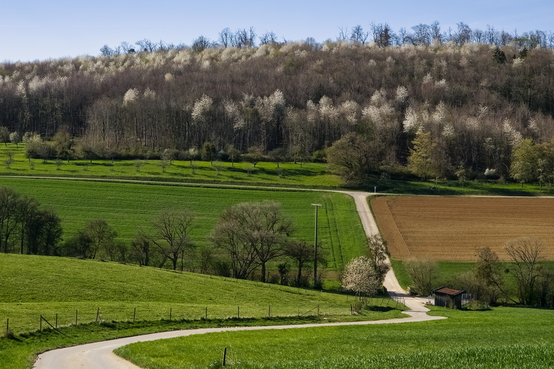 20250407_171120.jpg