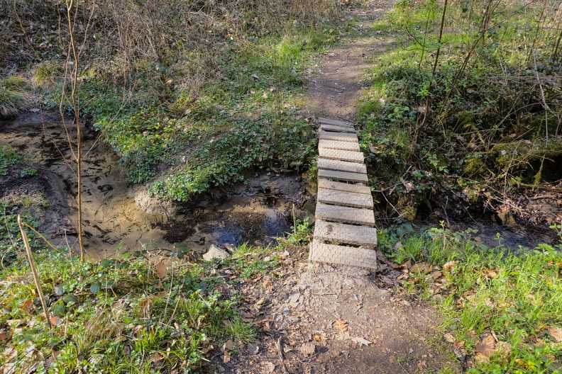 20250406_171230.jpg