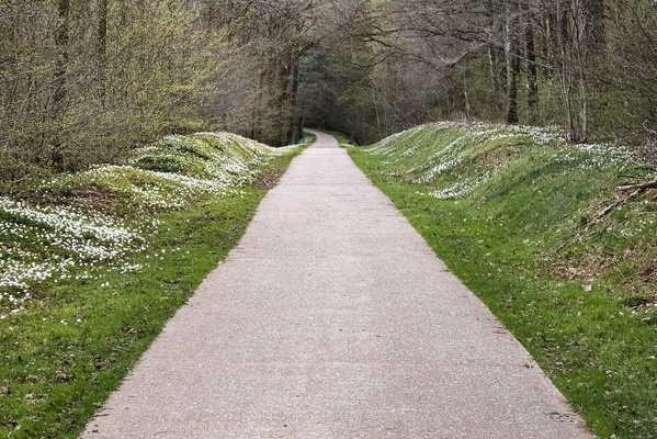 Straight Path, Predictable Green