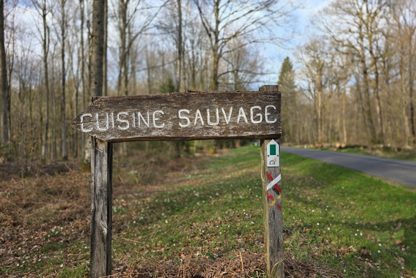 Yes, Because 'Wild Cuisine' Totally Doesn't Sound Like a Prank