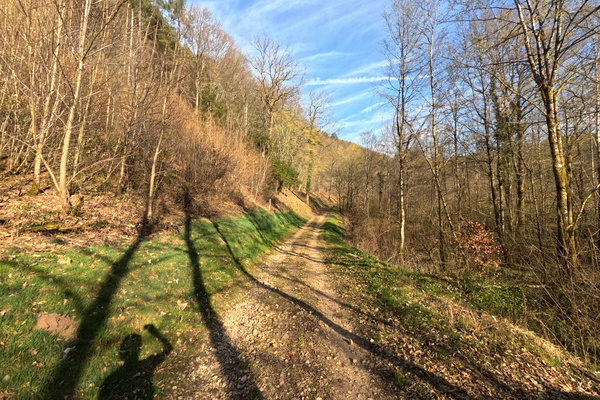 Track! Shiny Blue Sky! Distracting shadows!