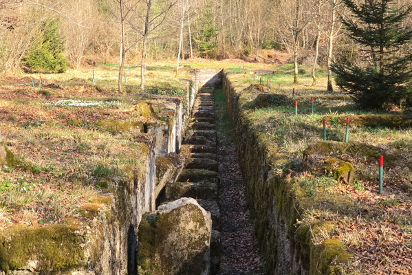 The German Sawmill