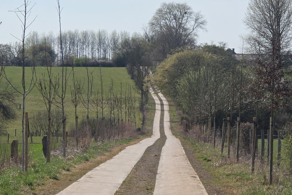 The Road to Nowhere (But It's Pretty)
