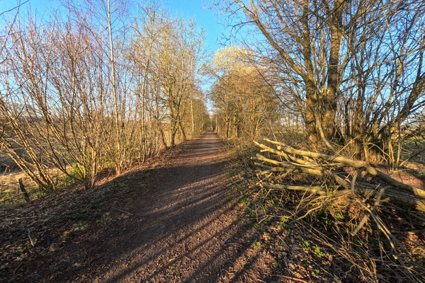 A comforting gravel cycleway through Nature's Order