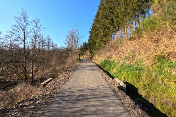 Tranquility on Two Wheels on a Recently Paved Cycleway