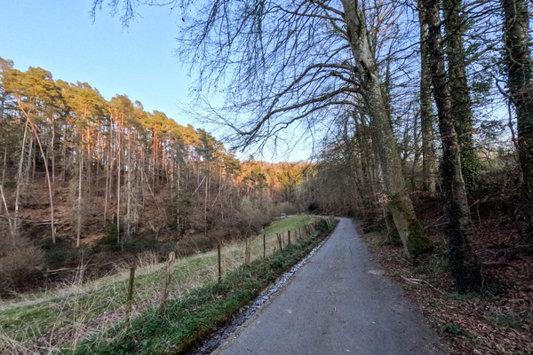 Solitude on the Road: A Moment of Inner Peace.