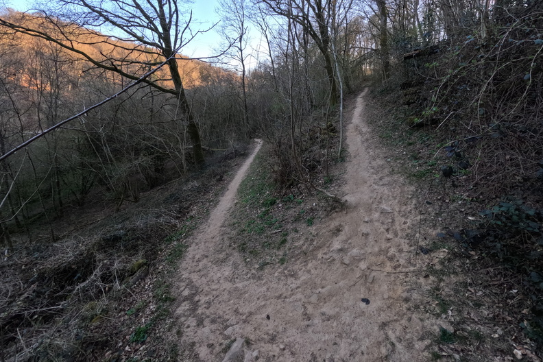 20250402_190733.jpg