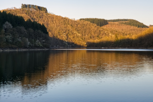 Trees, Water, Light, Repeat. Soothing.