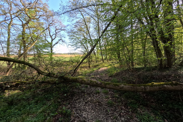 Is this a Path, an Obstacle, or Both?