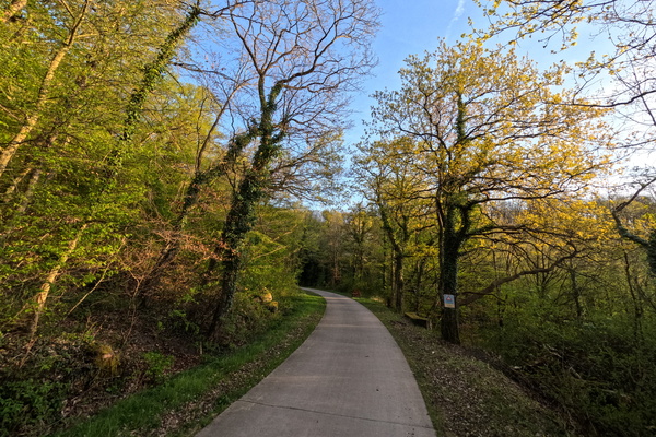 Parallel Concrete, Predictable Green: Safe Path