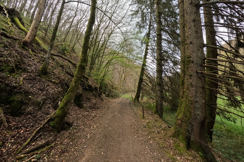 20250413_172158.jpg