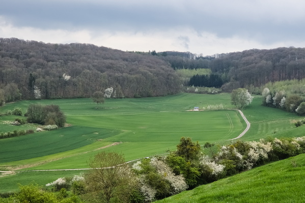 Different Greens, All Beautiful