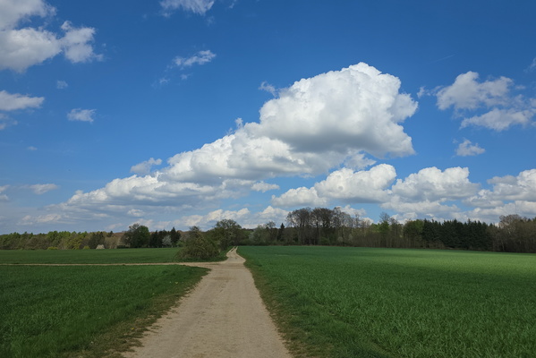 Cloud Nine Kilometre