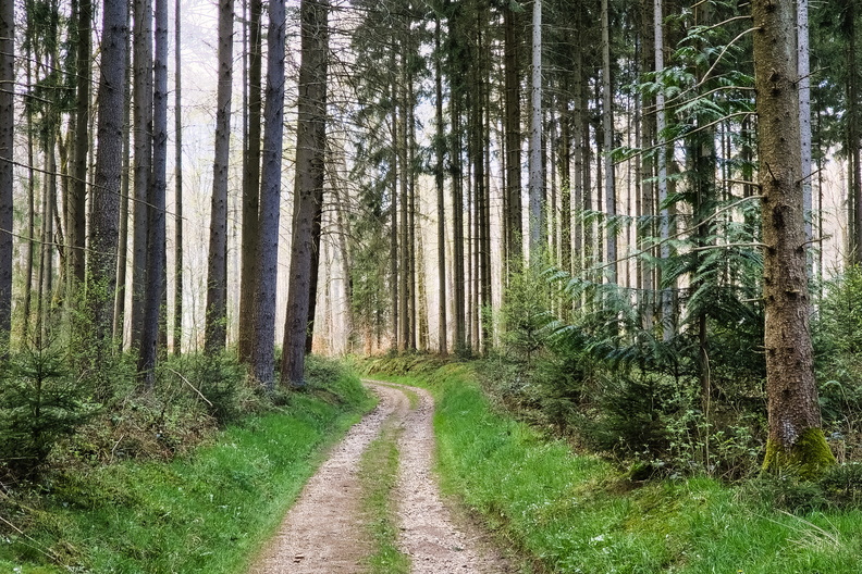 20250414_174704.jpg
