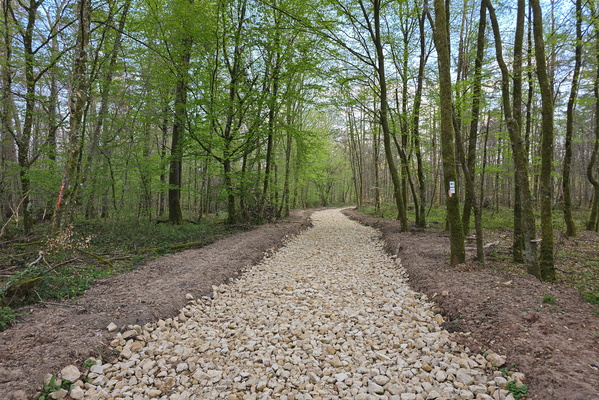 Which Path Do I Choose? Oh, This One!