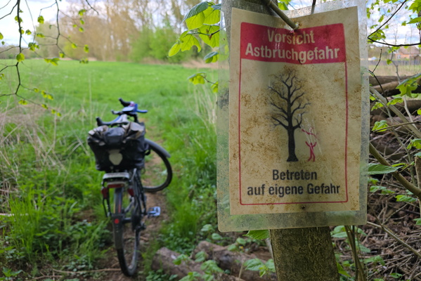 When the trail warns of falling branches, but you're already com