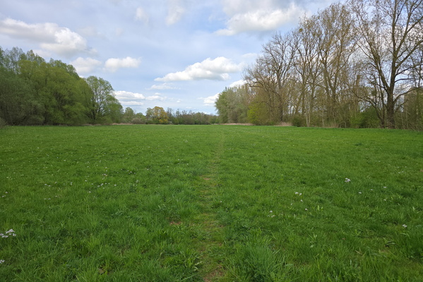 Is this the way to Bettembourg?